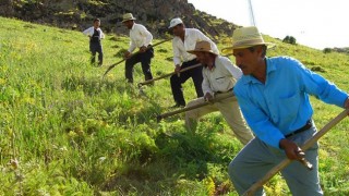 Çiftçilerin sosyal güvenlik hakları