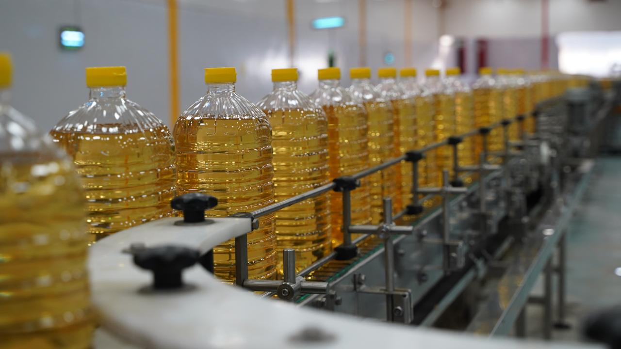 Türkiye’den İlk Çeyrekte 316,8 Milyon Dolarlık Ayçiçeği Yağı İhracatı