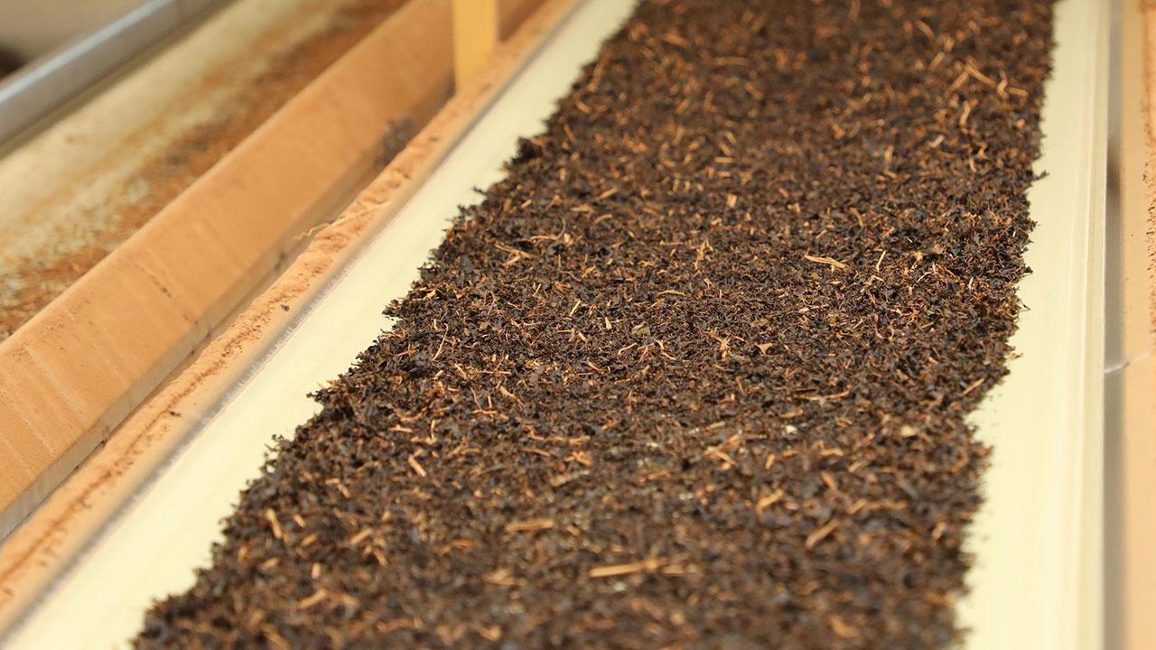 Türkiye’nin Çay İhracatında İlk Çeyrekte Yüzde 38’lik Rekor Artış