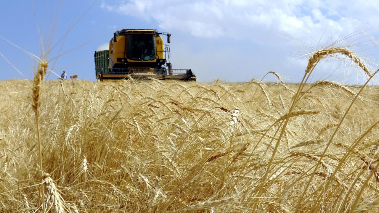 Çiftçilere 1.35 Milyar TL Tarımsal Destek: Ödeme Dağılımı ve Takvimi