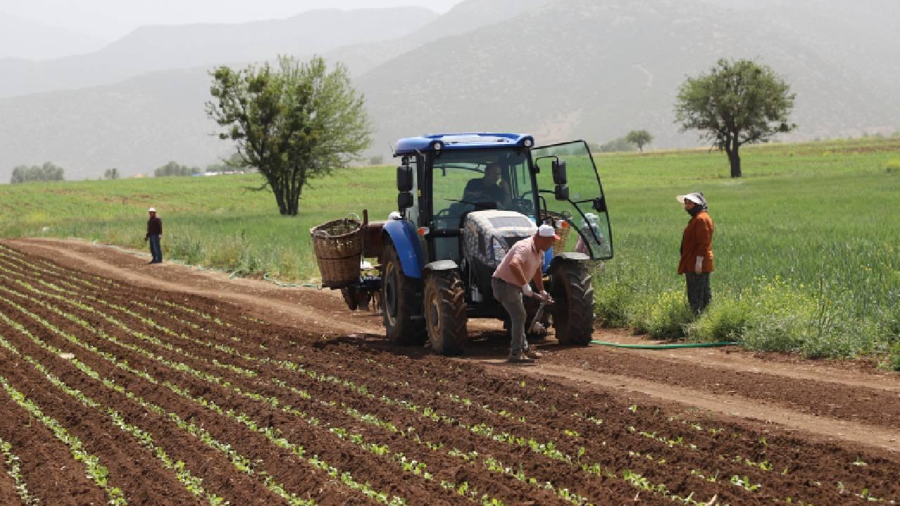 Tarım ve Orman Bakanlığı’ndan Çiftçilere 19.5 Milyar TL’lik Dev Destek Ödemesi