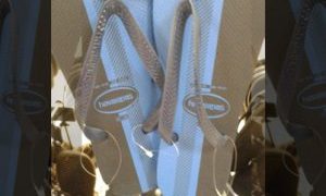 İNTERNETİN YENİ TARTIŞMASI: BU TERLİK NE RENK ?