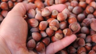 Fındık ihracatının lideri ‘Trabzon’ oldu