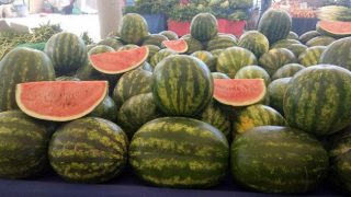 İran karpuzunun çeyrek dilimi 15 liradan tezgahta