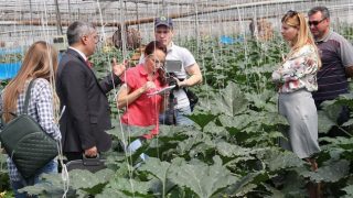 Rus tarım heyeti Antalya’da incelemelerde bulundu