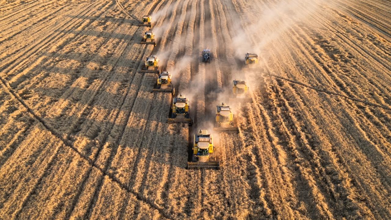 Tarımda Robotik Devrim: 2050 Yılına Kadar Otonom Filolar Tarlalara İniyor