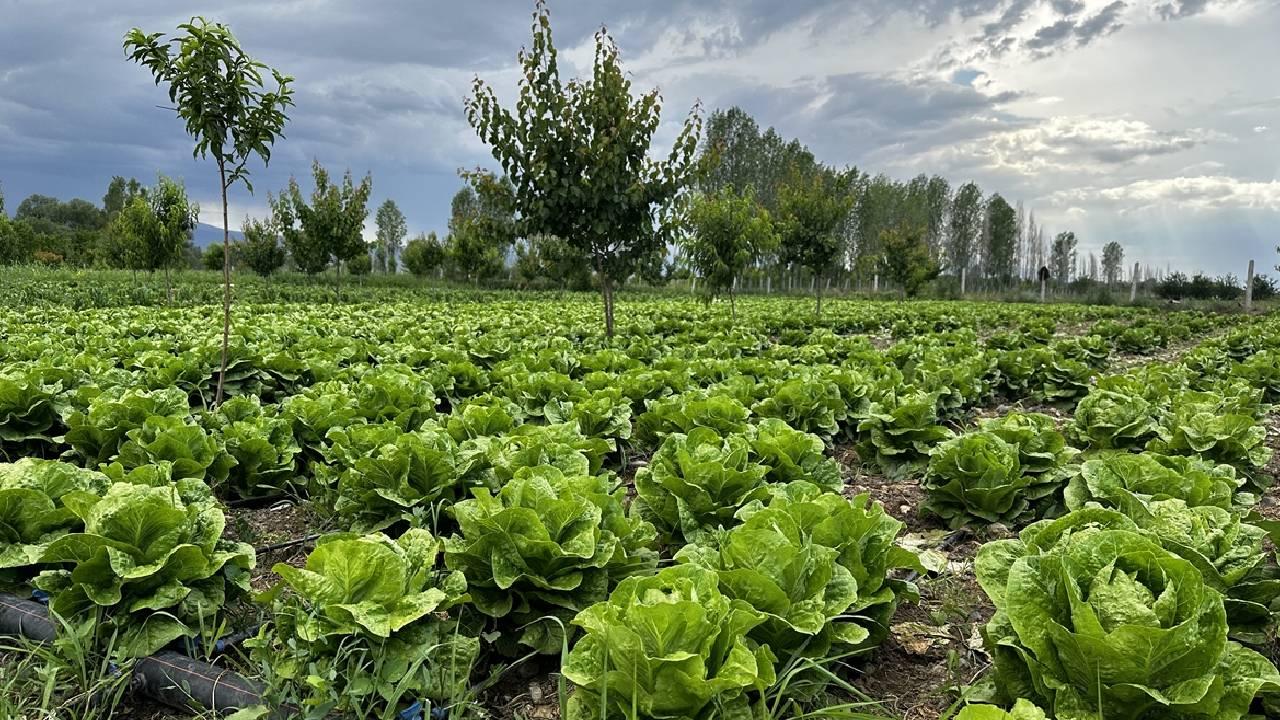 Tarım ve Orman Bakanlığı’ndan Akıllı Tarım Teknolojilerine Büyük Yatırım