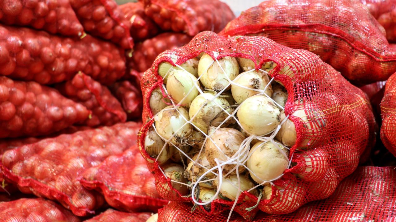 Türkiye’nin Kuru Soğan İhracatı 2026’nın İlk Çeyreğinde 15 Kat Arttı: Hedef 100 Milyon Dolar