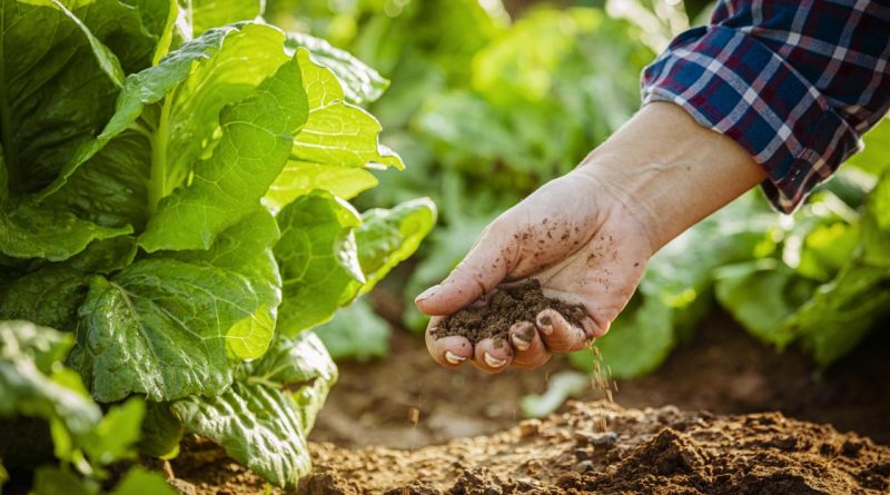 Kırsal Kalkınmada Teknoloji ve Hibe Devrimi Kırsal Kalkınmada Teknoloji ve Hibe Devrimi