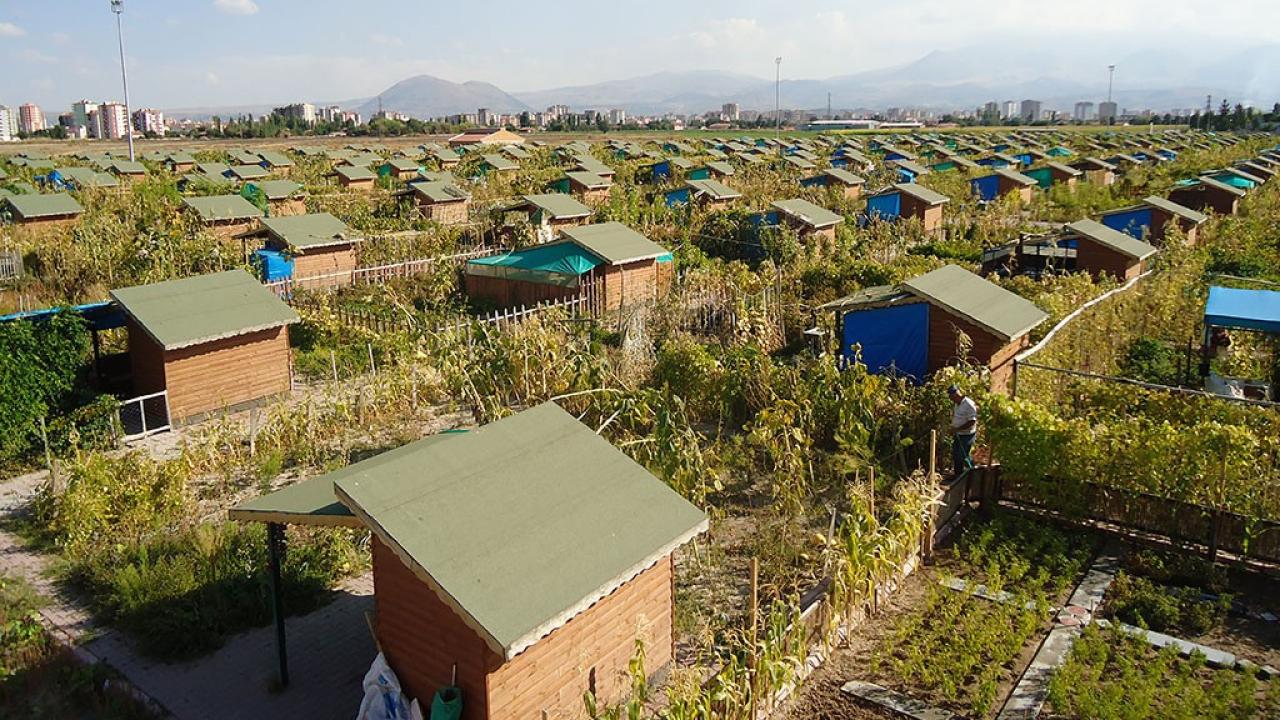 Hobi Bahçelerine Yeni Düzenleme ve Türkiye’nin COP31 Hedefleri