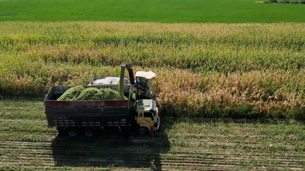Hassas Tarım ve Tarımsal Robotlar: Geleceğin Sanayi Alanlarından biri